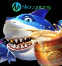 Micro Gaming Plus Fishing